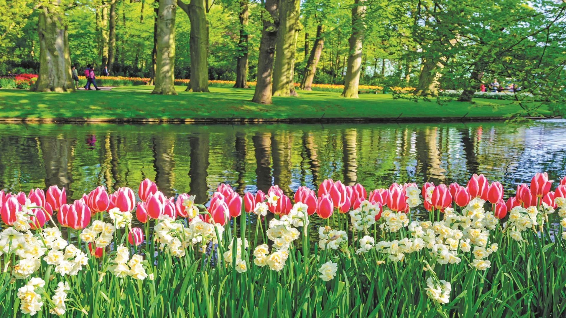 Keukenhof Gardens in Spring